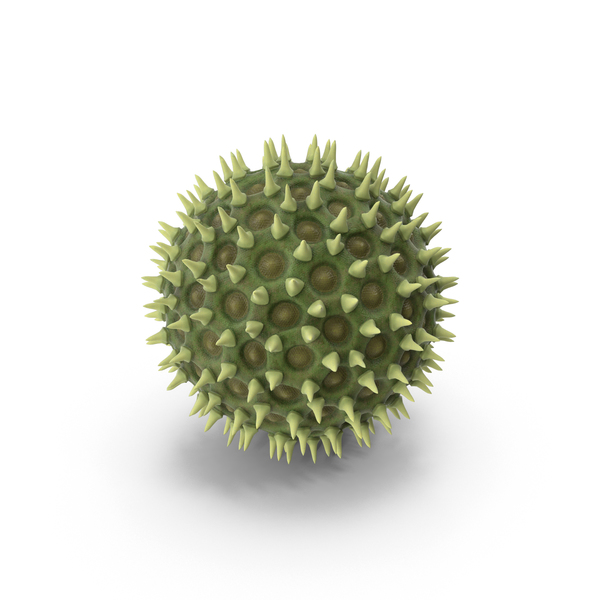 Pollen Particle PNG & PSD Images