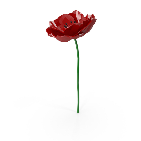 Poppy PNG & PSD Images Poppy PNG & PSD Images