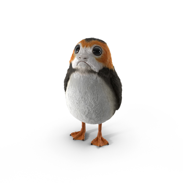 porg pez