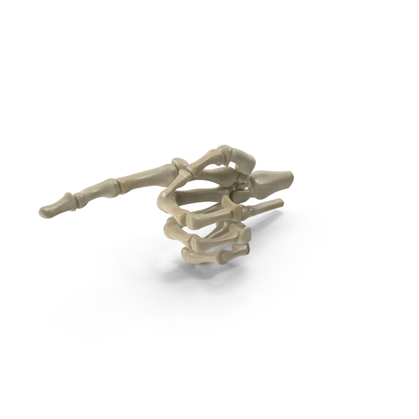 Posed Skeletal Hand PNG & PSD Images Posed Skeletal Hand PNG & PSD Images