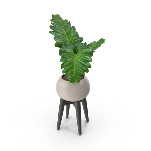 Flower Pot: Potted Plant PNG & PSD Images Flower Pot: Potted Plant PNG & PSD Images