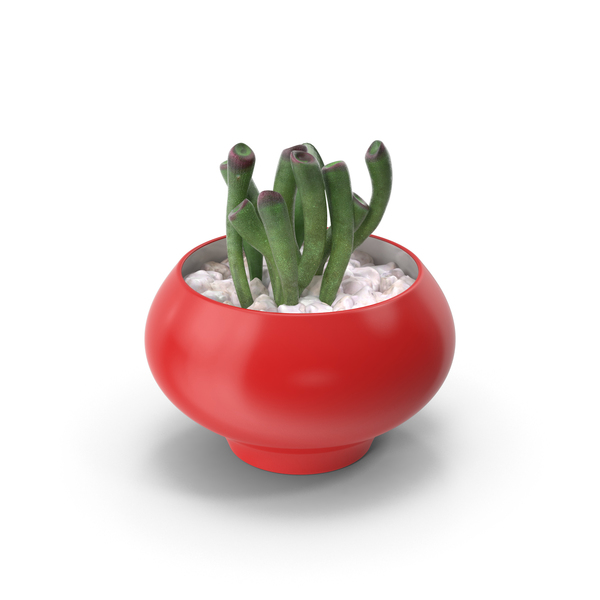 Flower Pot: Potted Plant PNG & PSD Images Flower Pot: Potted Plant PNG & PSD Images