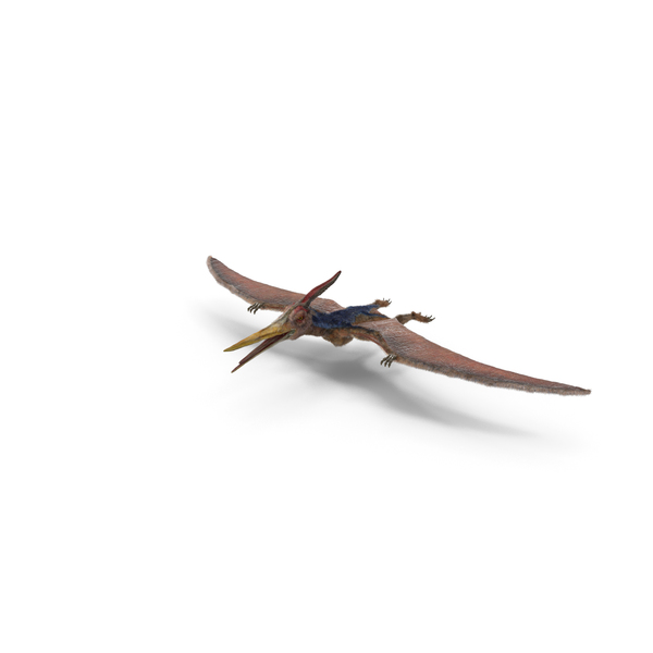 Pteranodon with Fur PNG & PSD Images