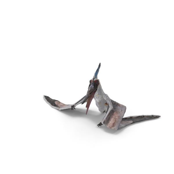 Pterosaur Pteranodon White Standing Pose with Fur PNG & PSD Images