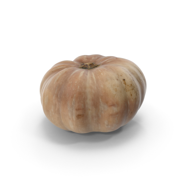 Pumpkin PNG & PSD Images Pumpkin PNG & PSD Images