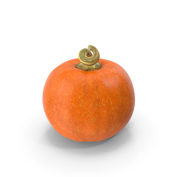 Pumpkin PNG & PSD Images Pumpkin PNG & PSD Images