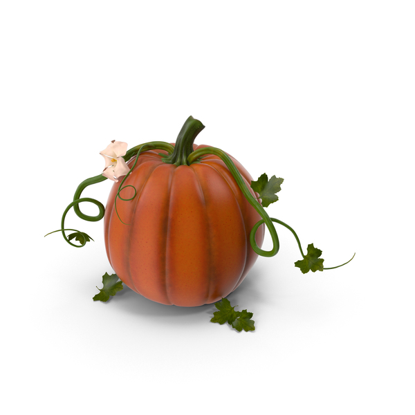 Pumpkin PNG & PSD Images Pumpkin PNG & PSD Images