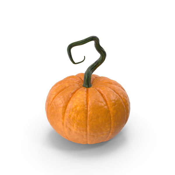 Pumpkin PNG & PSD Images Pumpkin PNG & PSD Images