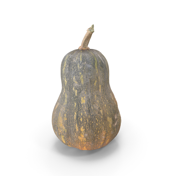 Pumpkin PNG & PSD Images Pumpkin PNG & PSD Images