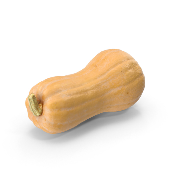 Squash Vegetable: Pumpkin Butternut PNG & PSD Images Squash Vegetable: Pumpkin Butternut PNG & PSD Images