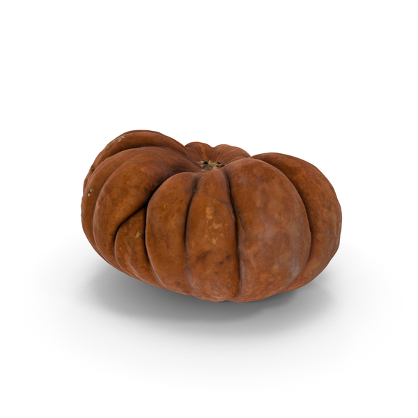 Pumpkin Moscata di Provenza PNG & PSD Images Pumpkin Moscata di Provenza PNG & PSD Images