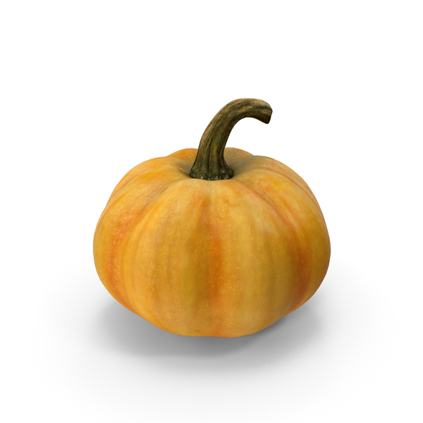 Pumpkin PNG & PSD Images Pumpkin PNG & PSD Images