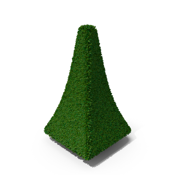 Bush: Pyramid Bushes PNG & PSD Images Bush: Pyramid Bushes PNG & PSD Images