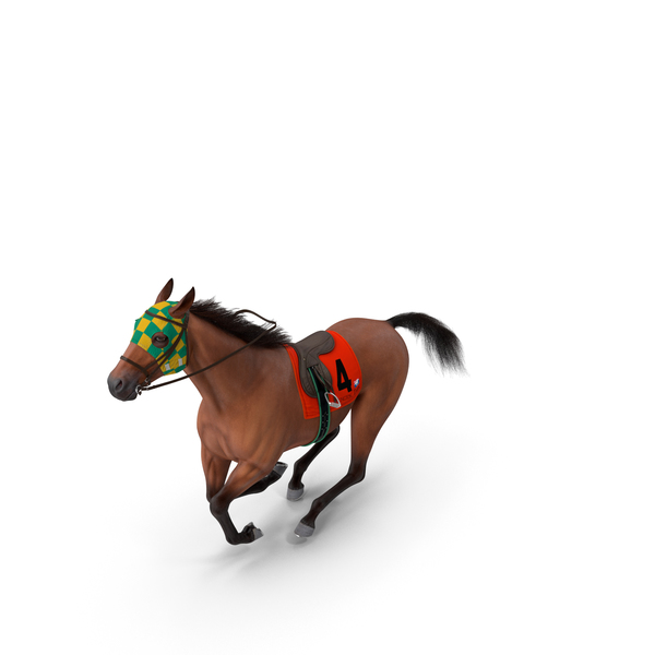 Saddled Horse: Racehorse Gallop Pose Fur PNG & PSD Images Saddled Horse: Racehorse Gallop Pose Fur PNG & PSD Images