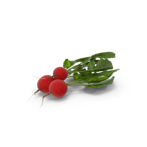 Radishes PNG & PSD Images