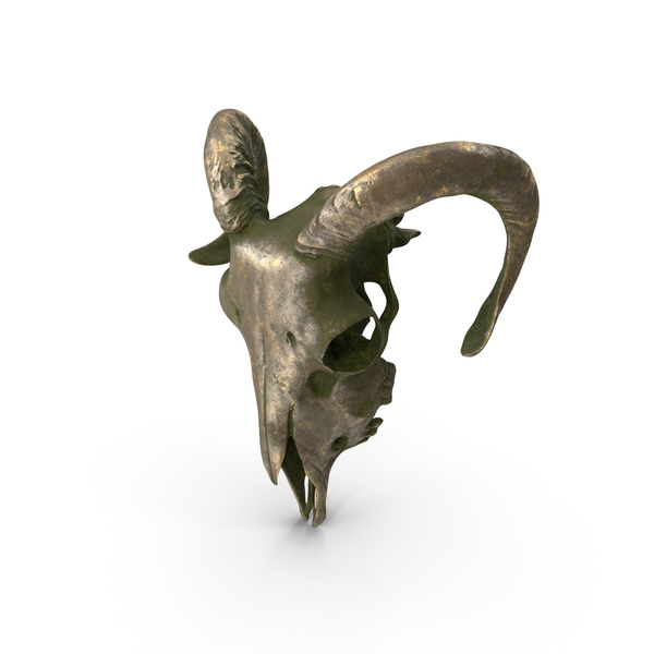 Animal: Ram Skull Statue Old Gold PNG & PSD Images Animal: Ram Skull Statue Old Gold PNG & PSD Images