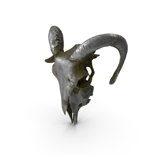 Animal: Ram Skull Statue Old Silver PNG & PSD Images Animal: Ram Skull Statue Old Silver PNG & PSD Images