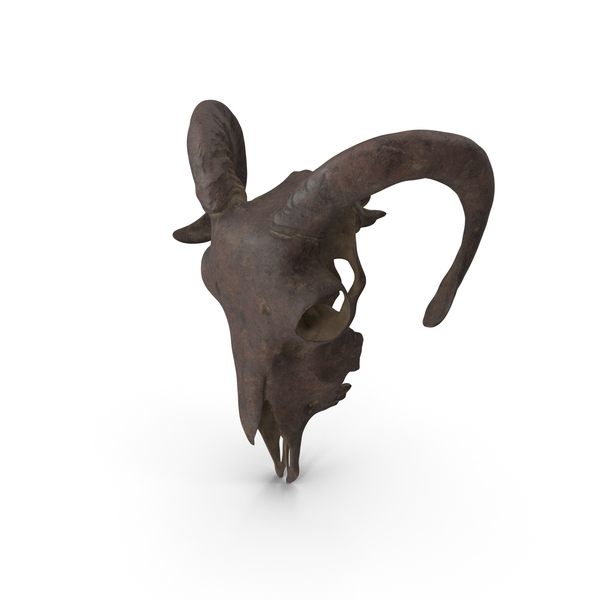 Animal: Ram Skull Stone PNG & PSD Images Animal: Ram Skull Stone PNG & PSD Images