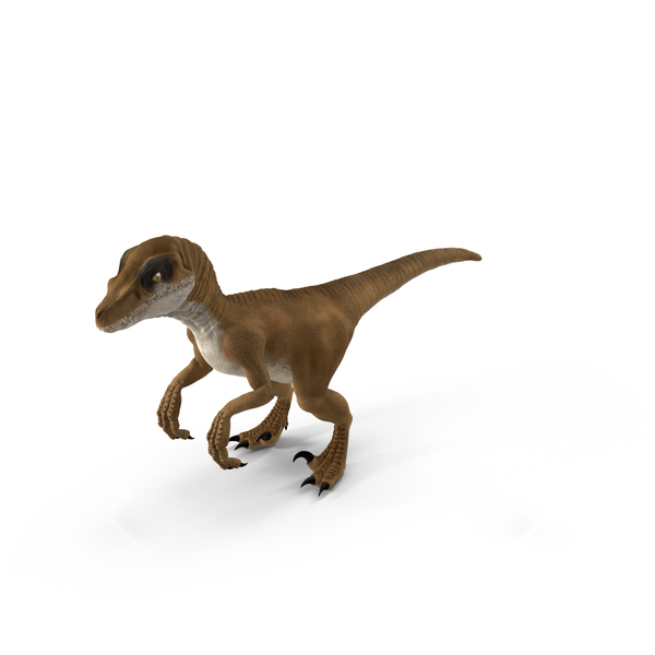 Dinosaur: Raptor PNG & PSD Images