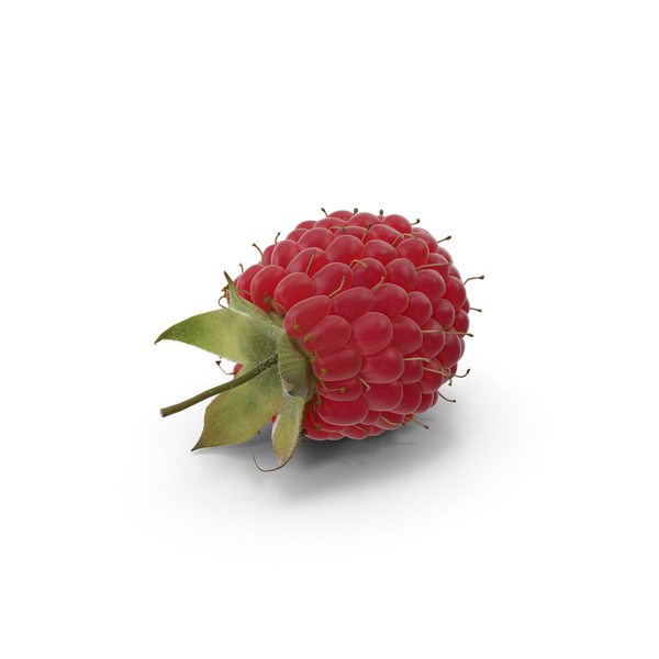 Raspberry PNG Images & PSDs for Download | PixelSquid - S110977204