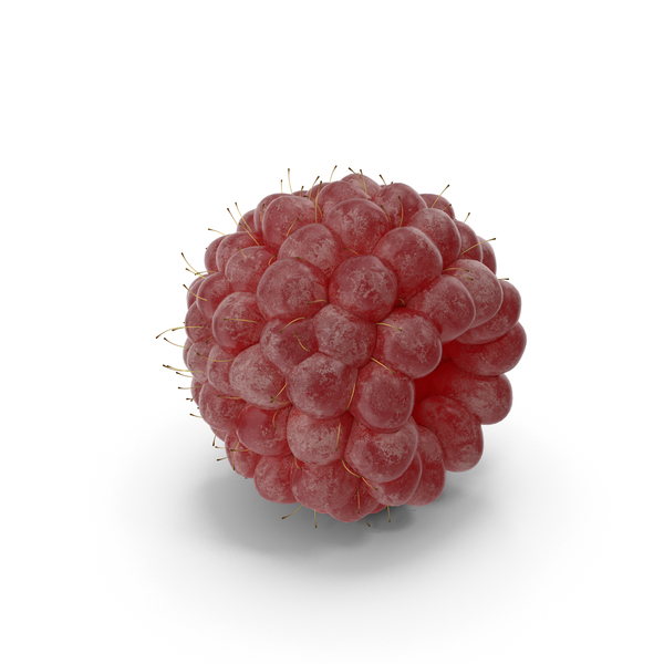 Raspberry PNG & PSD Images Raspberry PNG & PSD Images