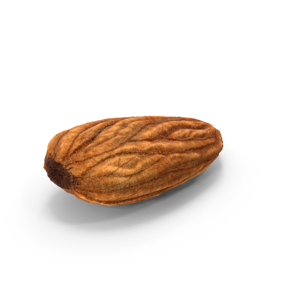 Raw Almond PNG & PSD Images Raw Almond PNG & PSD Images