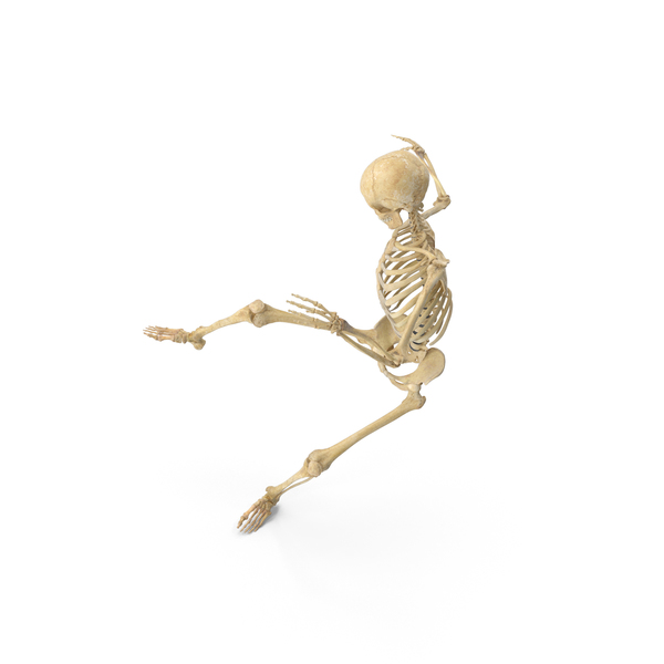 Real Human Female Skeleton Falling PNG & PSD Images
