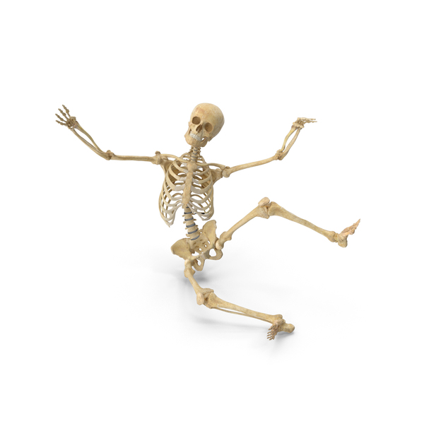 Real Human Female Skeleton Falling PNG & PSD Images Real Human Female Skeleton Falling PNG & PSD Images