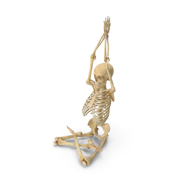Real Human Female Skeleton Pose PNG & PSD Images Real Human Female Skeleton Pose PNG & PSD Images