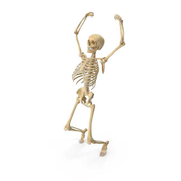 Real Human Female Skeleton Pose PNG & PSD Images Real Human Female Skeleton Pose PNG & PSD Images