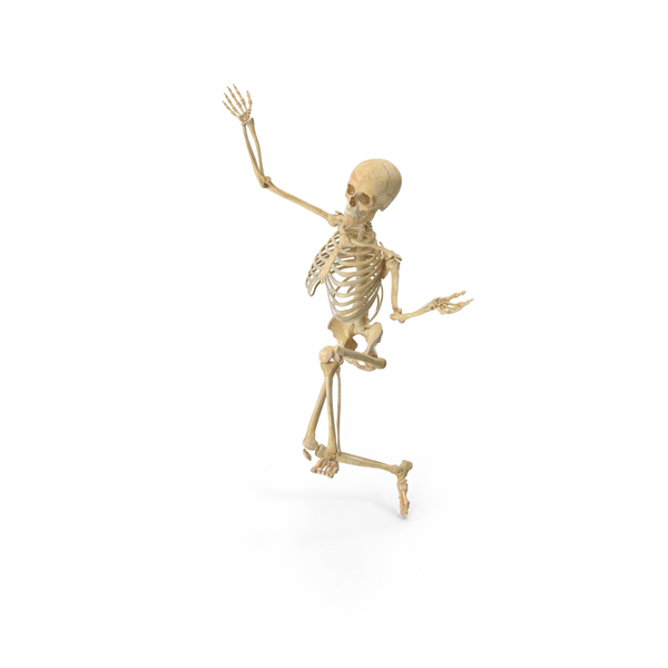 Real Human Female Skeleton Pose PNG & PSD Images Real Human Female Skeleton Pose PNG & PSD Images