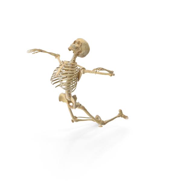 Real Human Female Skeleton Pose PNG & PSD Images Real Human Female Skeleton Pose PNG & PSD Images
