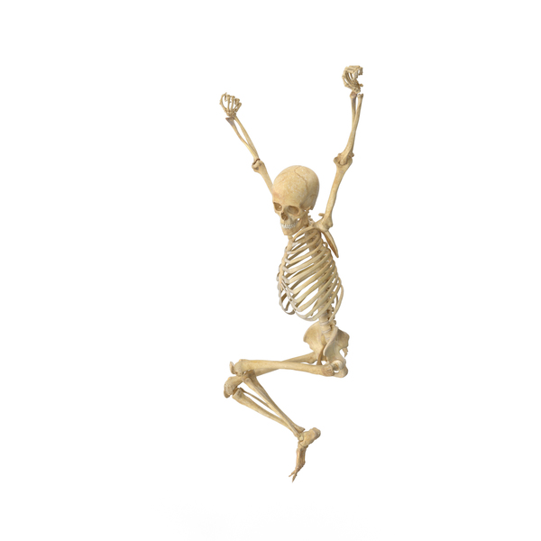 Real Human Female Skeleton Pose PNG & PSD Images Real Human Female Skeleton Pose PNG & PSD Images