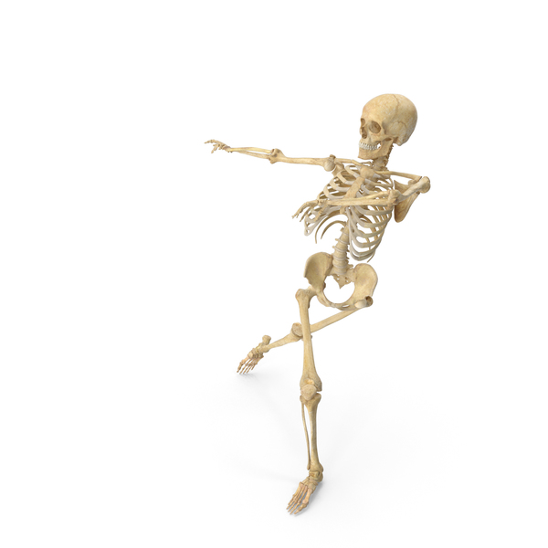 Real Human Female Skeleton Pose PNG & PSD Images Real Human Female Skeleton Pose PNG & PSD Images