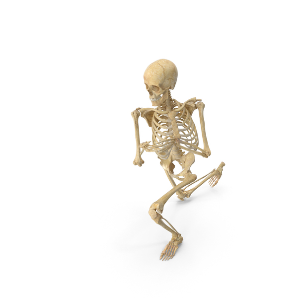 Real Human Female Skeleton Pose PNG Images & PSDs for Download ...