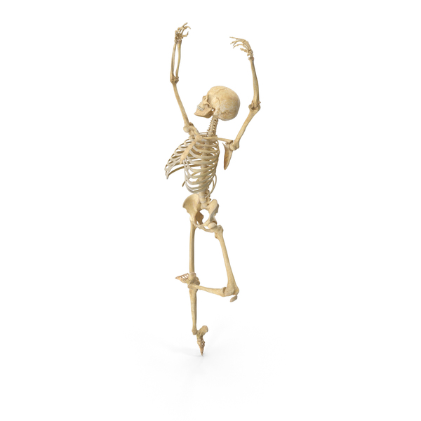 Real Human Female Skeleton Pose PNG & PSD Images Real Human Female Skeleton Pose PNG & PSD Images