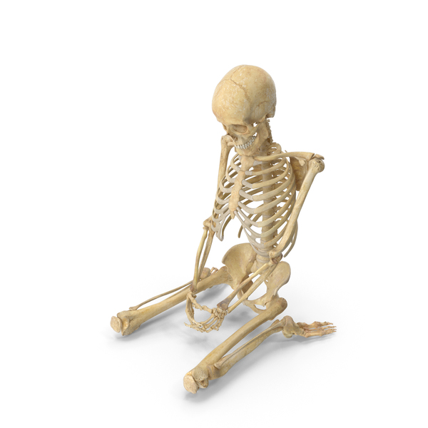 Real Human Female Skeleton Pose PNG Images & PSDs for Download ...