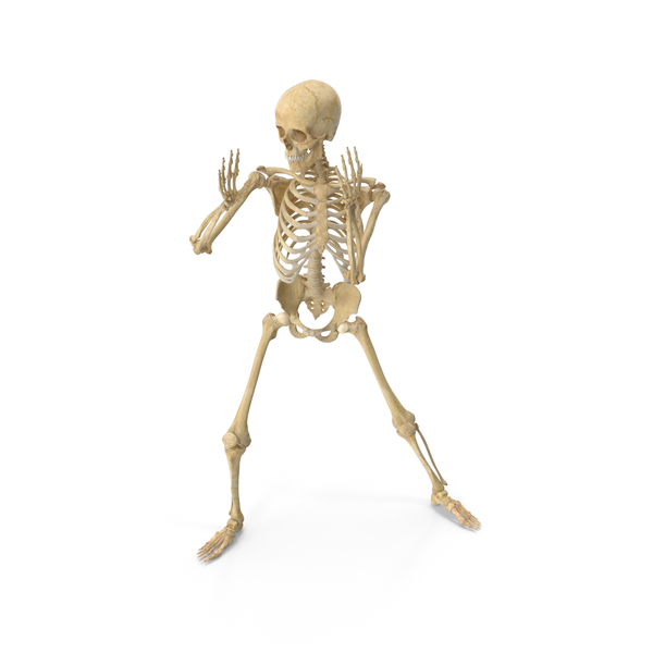 skeleton pose reference