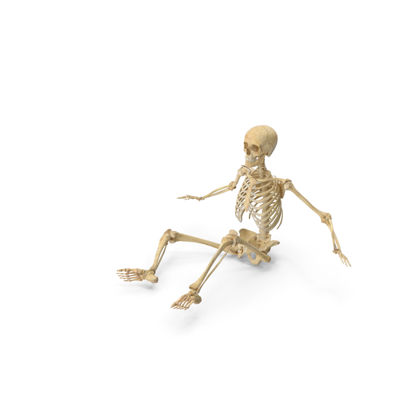 Real Human Female Skeleton Pose PNG Images & PSDs for Download ...