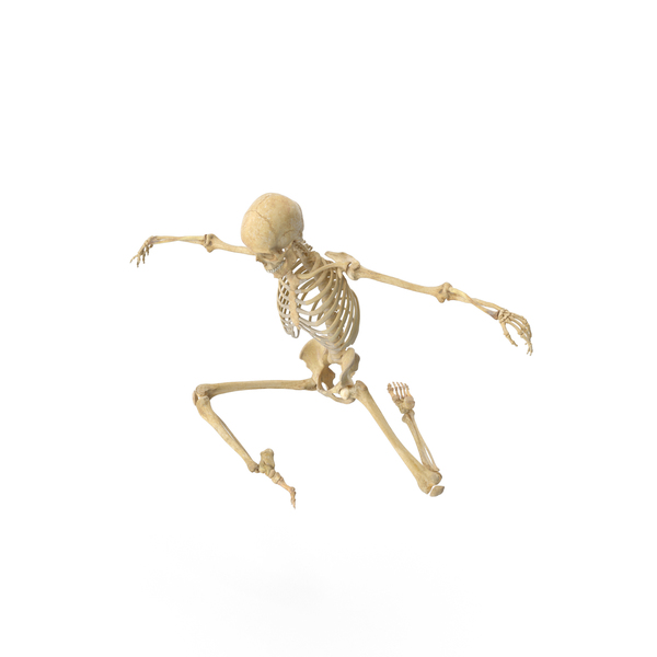 Real Human Female Skeleton Pose PNG & PSD Images Real Human Female Skeleton Pose PNG & PSD Images