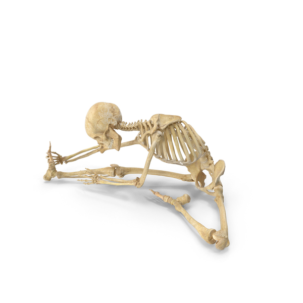 Real Human Female Skeleton Pose PNG & PSD Images Real Human Female Skeleton Pose PNG & PSD Images