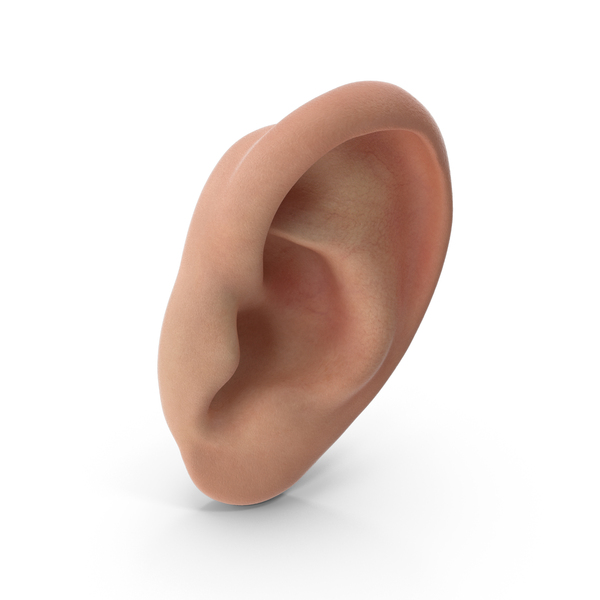 Realistic Human Ear Left PNG & PSD Images