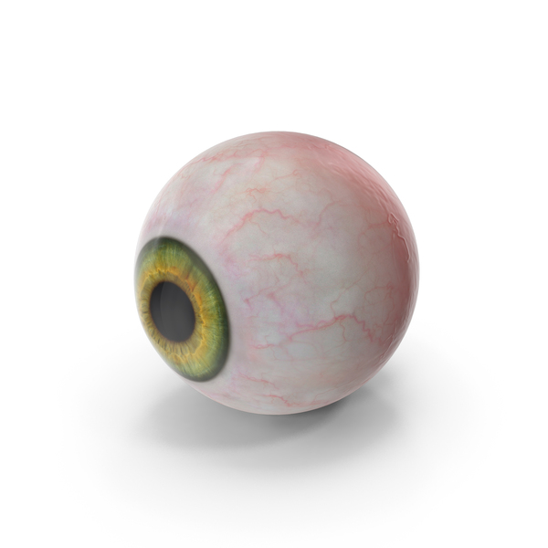 Eyes: Realistic Human Green Eyeball PNG & PSD Images Eyes: Realistic Human Green Eyeball PNG & PSD Images