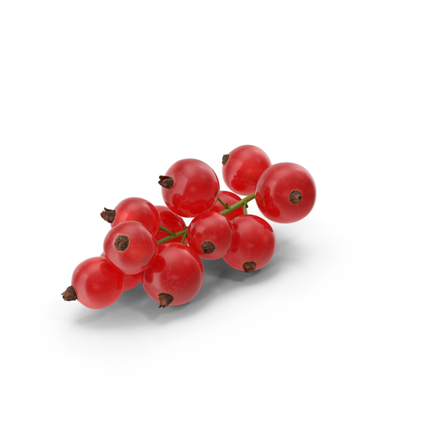 Red Currant Berries Branch PNG & PSD Images Red Currant Berries Branch PNG & PSD Images