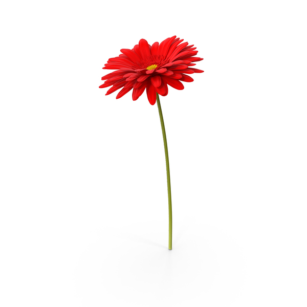 Tessa Flower Onlyfans PNG Images & PSDs for Download PixelSquid