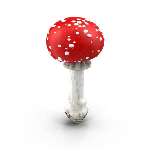 Red Mushroom With White Spots PNG & PSD Images