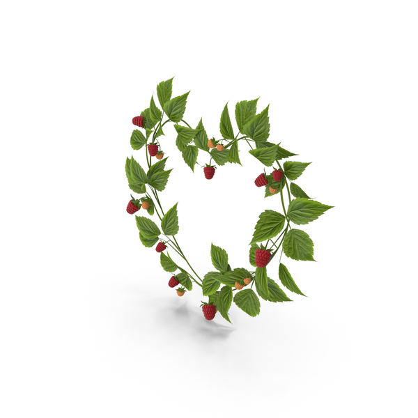 Plants: Red Raspberry Heart Wreath PNG & PSD Images