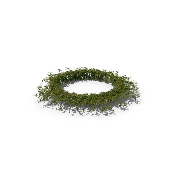 Ring of Ivy PNG & PSD Images Ring of Ivy PNG & PSD Images