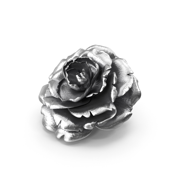 Rose Silver Bud PNG & PSD Images Rose Silver Bud PNG & PSD Images