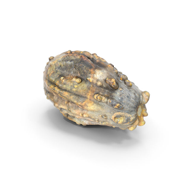 Rotting Pumpkin PNG & PSD Images Rotting Pumpkin PNG & PSD Images